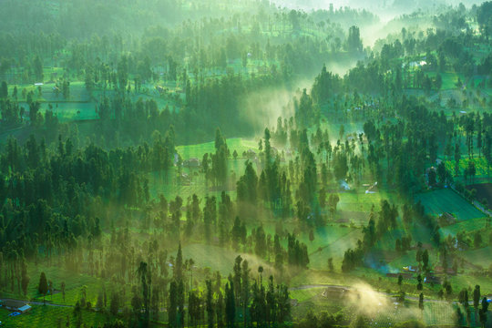 Misty Morning at Cemoro Lawang, Mount Bromo, East Java, Indonesia