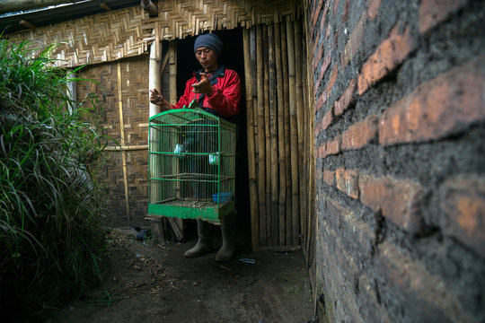 Tenggerese Man holding a bird cage, Cemoro Lawang, East Java, Indonesia