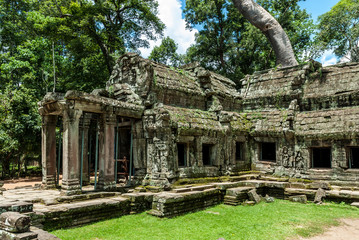 tree "spung" growing on the ruins of a prasat in the archaeological ta prohm place in siam reap, cambodia