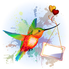 Rainbow humming-bird with Card for text