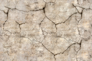 Fototapeta premium Cracle wall plaster seamless texture