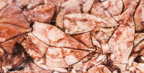 frozen carcass squid in brick for trade and background