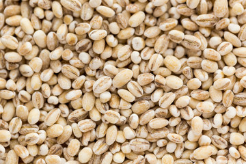small dry seeds of cereals in background