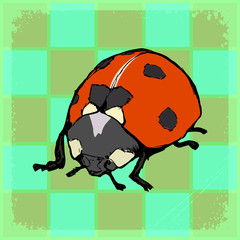 vintage background with ladybird