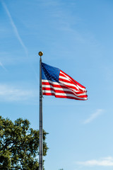 American Flag near Tree