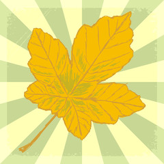 vintage background with yellow leaf