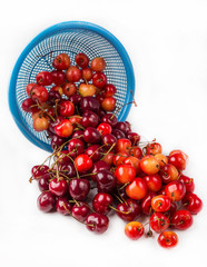 fresh cherry with drop the water in blue colander