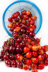 fresh cherry with drop the water in blue colander