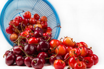 fresh cherry with drop the water in blue colander