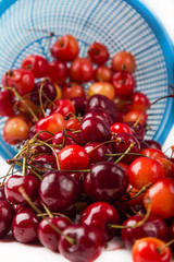 fresh cherry with drop the water in blue colander