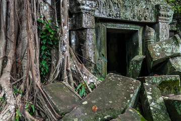 Fototapeta na wymiar window with bas-reliefs of a temple or prasat in ruins strangulated by a ficus in the archaeological ta prohm place in siam reap, cambodia