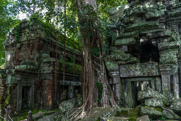 sight of two pavilions or libraries in ruins in the archaeological ta prohm place in siam reap, cambodia