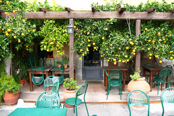 Antique coffee surrounded by a fragrant citrus plant