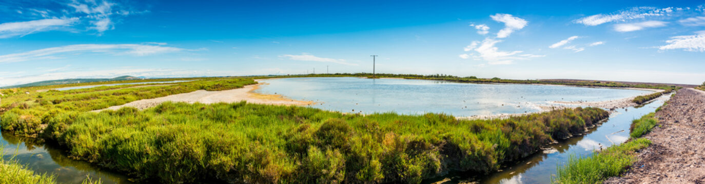 &Eacute;tang de Vic, Languedoc