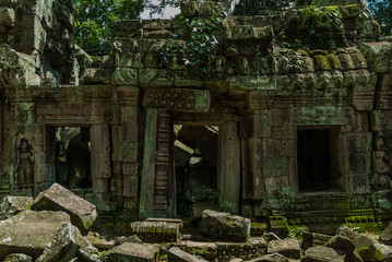 Fototapeta premium temple detail or prasat ruined with bas-reliefs in the archaeological ta prohm place in siam reap, cambodia