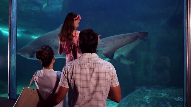 Happy family looking at fish in the tank