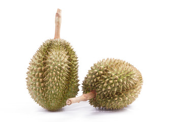 Durian fruit of THAILAND.