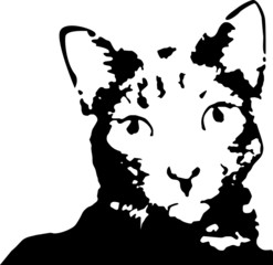 Gato Vector