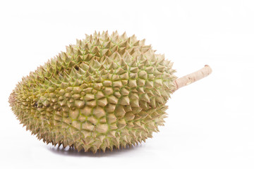 Durian fruit of THAILAND.