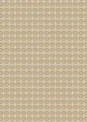 Fototapeta premium Vintage Style Decorative Pattern