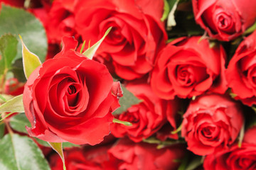 bouquet of red roses for romantic gift background