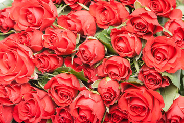 bouquet of red roses for romantic gift background