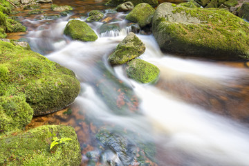 Górski potok © Patryk Michalski