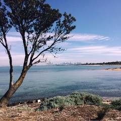 Obraz na płótnie Canvas view towards melbourne city skyline from brighton over port phillip bay, melbourne, australia