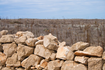archeology stones on field