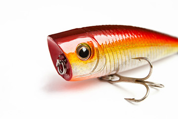 bait for fishing - popper