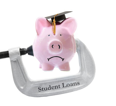 Student Loan Piggy Bank Vice