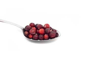 fresh frozen red berrys on metal spoon