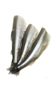 freh small scale fish without head