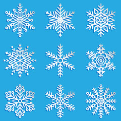 Fototapeta na wymiar Vector snowflakes set. Elegant snowflakes for Christmas and New