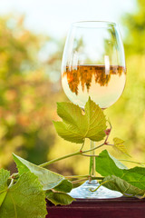 sweet wine