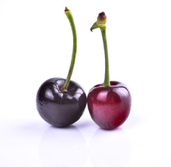 cherry
