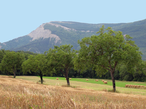 Paysage du Diois , dans la Dr&ocirc;me