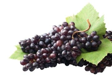 Grape, Vineyard, Vine.