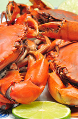 Crab from the Mekong delta