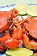 Crab from the Mekong delta