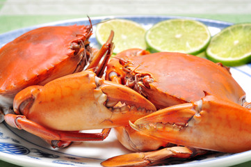Crab from the Mekong delta