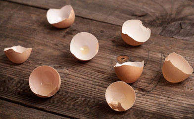 rough background with egg shells