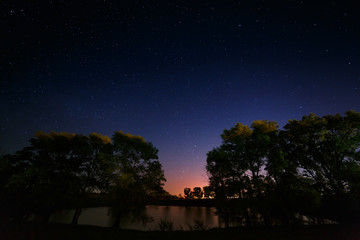 Obraz na płótnie Canvas Trees on a background of the night starry sky