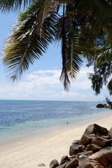 Paradisischer einsamer Strand auf den Seychellen