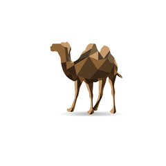 Camel polygon