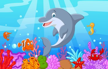 Standing Dolphin Illustration with collection fish