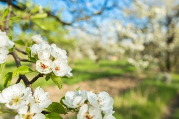 Spring, red, feelings.