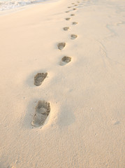 Fototapeta na wymiar Traces de pieds dans le sable blanc au levé du soleil.