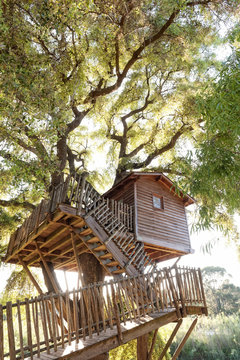 Baumhaus im Wald, Untersicht