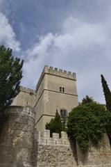 Fototapeta na wymiar Castillo de Ampudia (Palencia). Vista de las torres